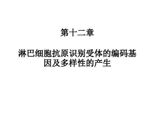 淋巴细胞抗原识别受体的编码基因及多样性的产生