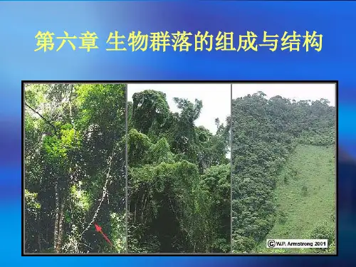 生态学第6章 生物群落的组成与结构