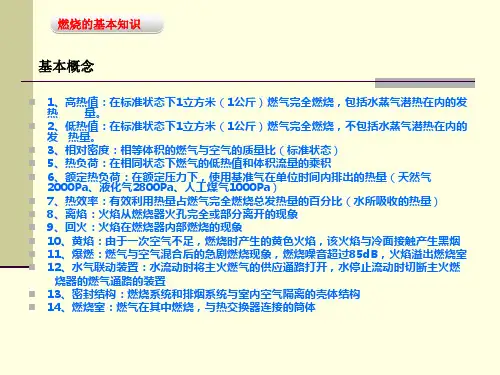 壁挂炉基础