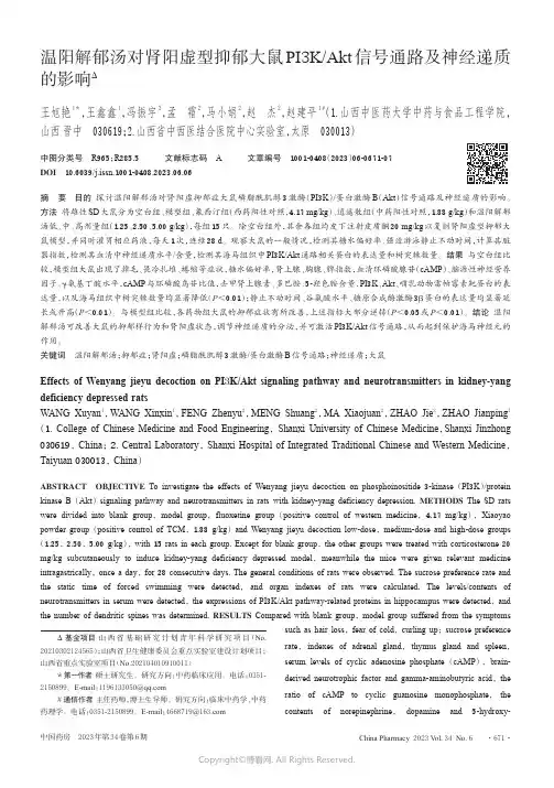 210996940_温阳解郁汤对肾阳虚型抑郁大鼠PI3K