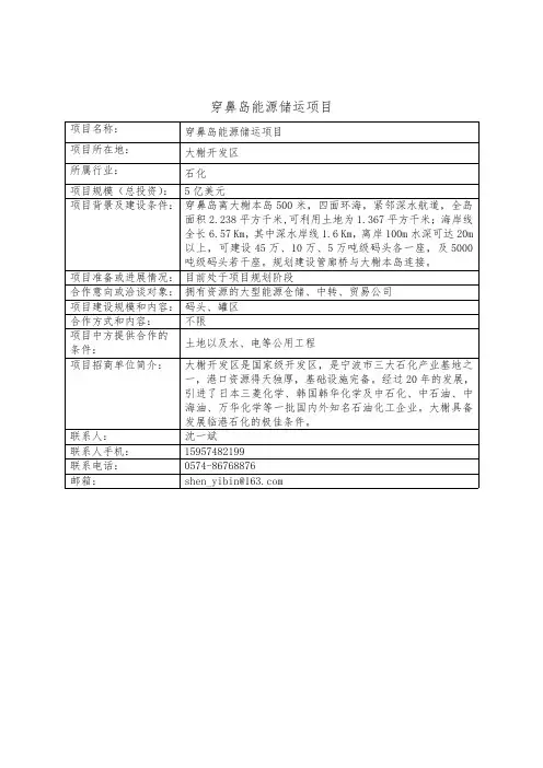 宁波市重点招商引资项目investmentprojects（ningbo）