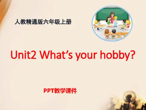 Unit 2《What’s your hobby》(Lesson7)精品课件