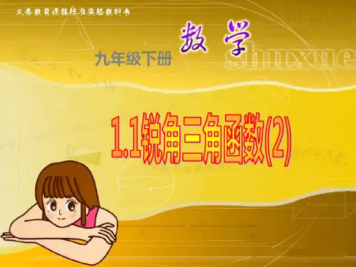 1.1锐角三角函数课件(浙教版)