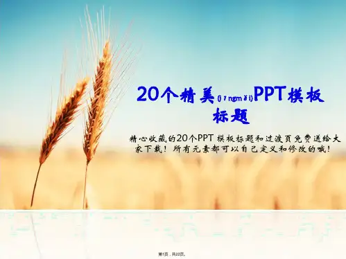 20个精美PPT模板标题(素材)(共22张)