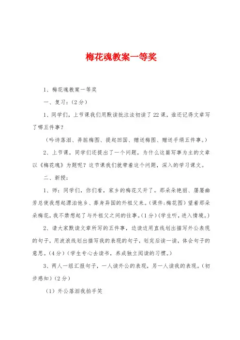 梅花魂教案一等奖