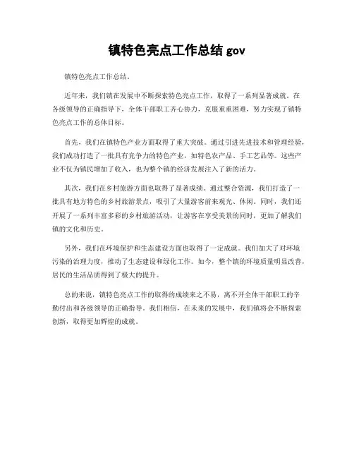 镇特色亮点工作总结gov