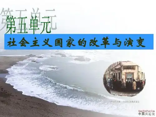 苏联的改革与解体