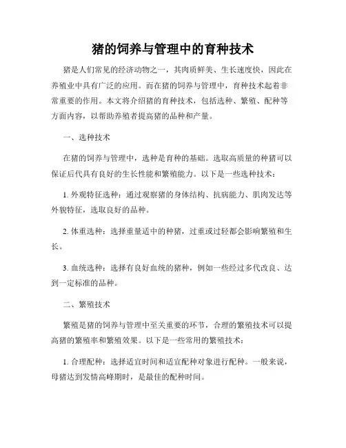猪的饲养与管理中的育种技术