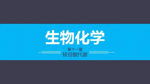 《生物化学》第十一章
