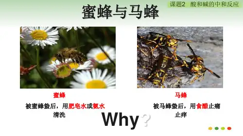 人教版九年级下册化学第十单元课题2酸和碱的中和反应(共47张PPT)