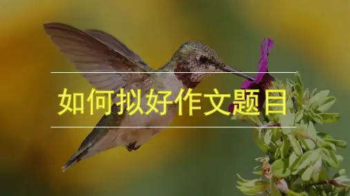 如何拟好作文题目ppt课件