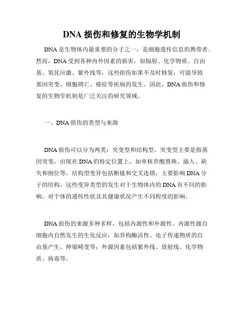 DNA损伤和修复的生物学机制