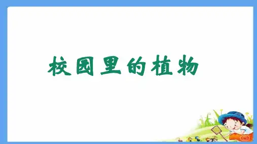 教科版一年级科学上册1.6《校园里的植物》课件