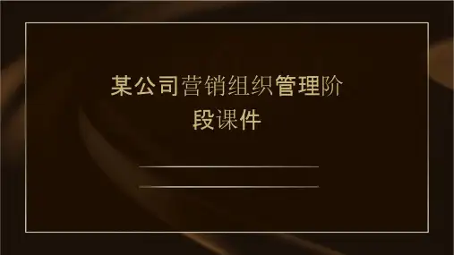 某公司营销组织管理阶段课件