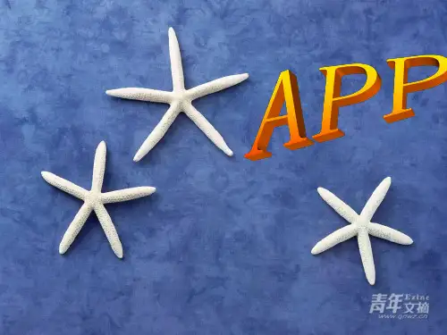 有关app介绍的ppt