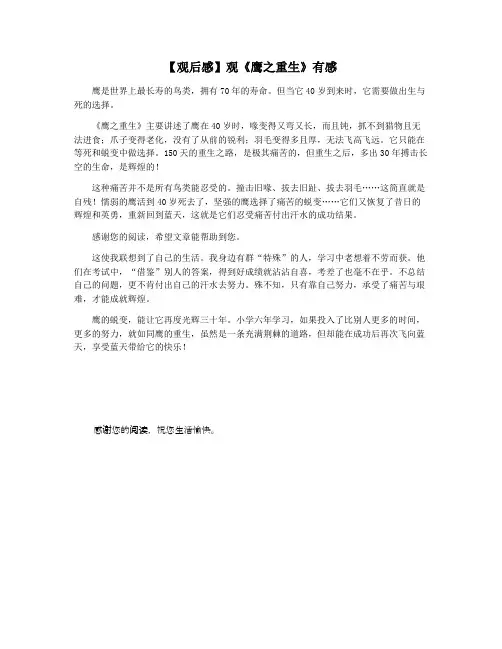 【观后感】观《鹰之重生》有感