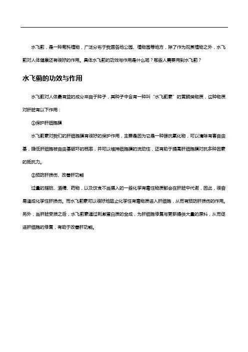 水飞蓟的功效与作用是什么,这些人群要知道