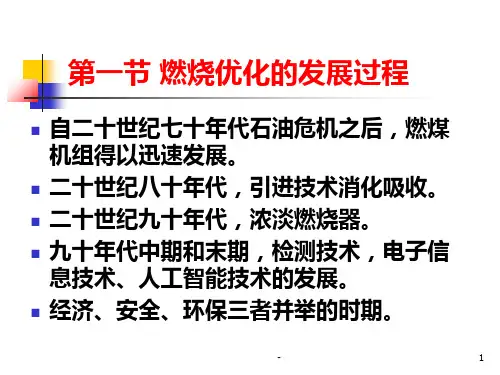 13第十三章-电站锅炉燃烧优化研究PPT课件