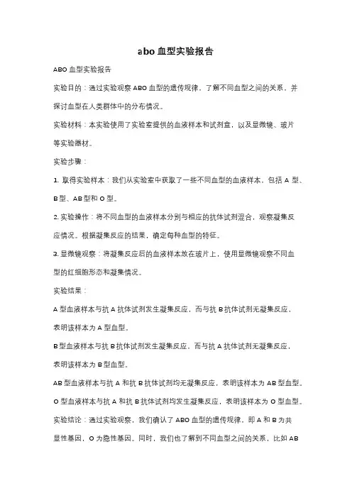 abo 血型实验报告