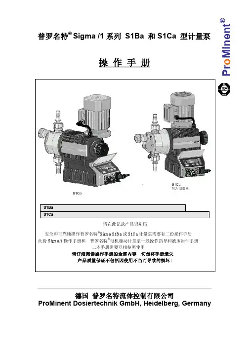 Sigma 1计量泵操作手册