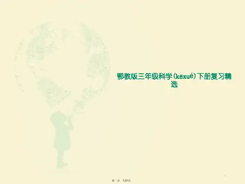 鄂教版三年级科学下册复习