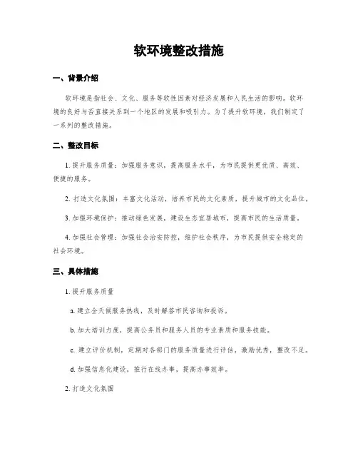 软环境整改措施