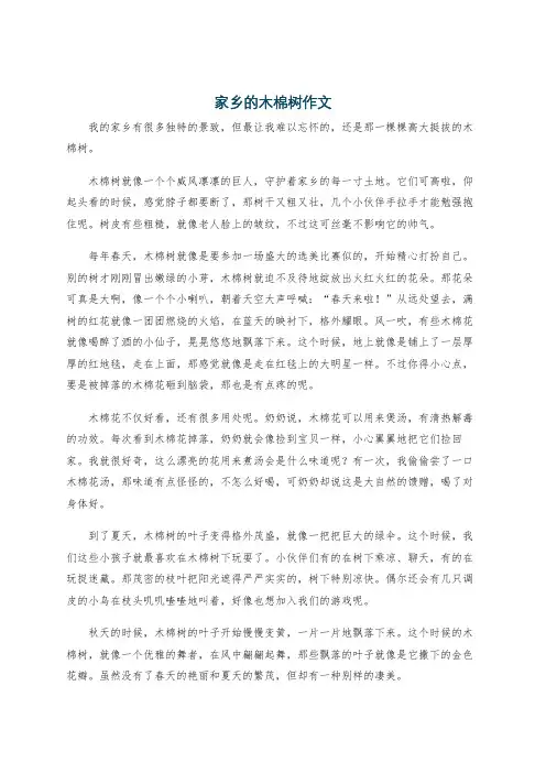 家乡的木棉树作文