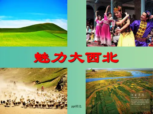 高考地理一轮复习 中国地理：魅力大西北课件 新人教版