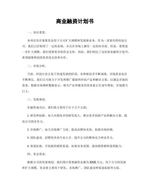 商业融资计划书