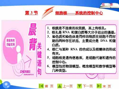 高中生物人教版必修一 第3章  第3节  细胞核——系统的控制中心 课件PPT