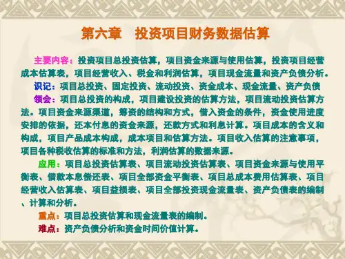 6投资项目财务数据估算
