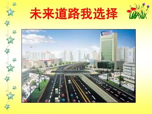 未来道路我选择(用).ppt