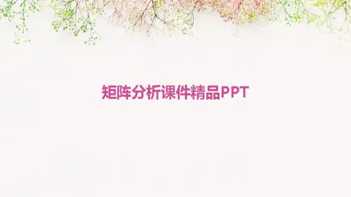 矩阵分析课件精品PPT