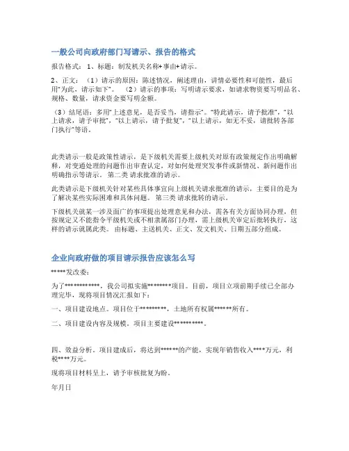 企业向政府报告范文