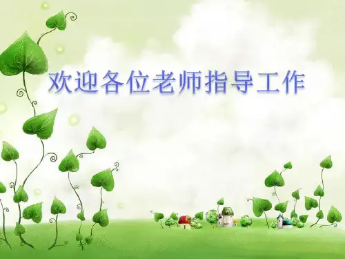 苯酚优质公开课课件