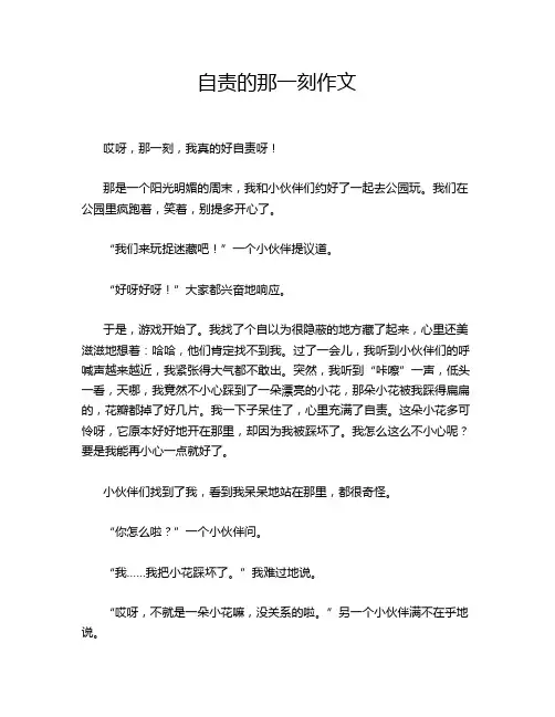 自责的那一刻作文