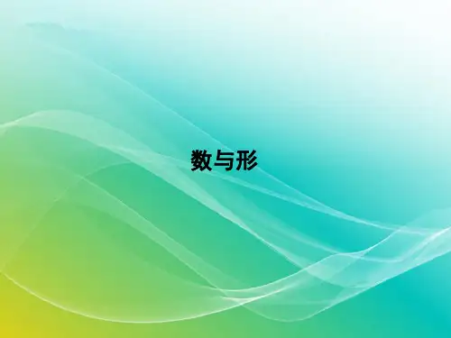 人教版数学六年级上册《数与形》授课课件