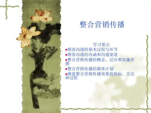 整合营销传播及案例分析ppt课件