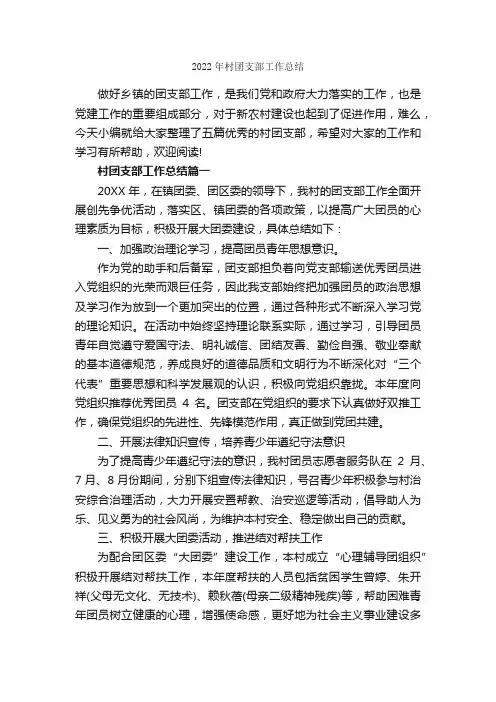 2022年村团支部工作总结