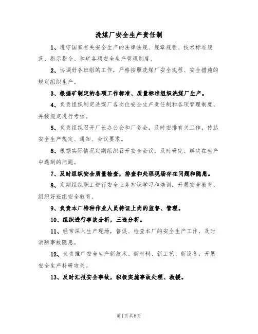 洗煤厂安全生产责任制（5篇）