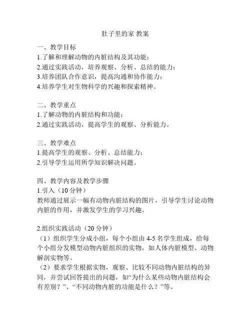 肚子里的家 教案