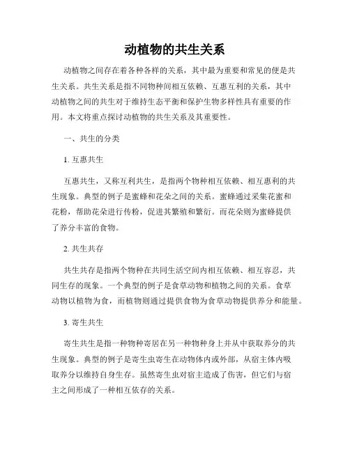 动植物的共生关系