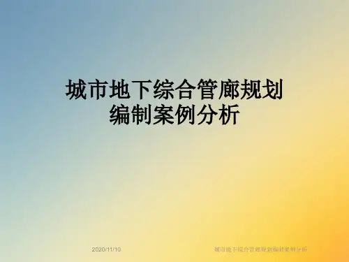 城市地下综合管廊规划编制案例分析