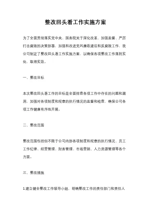 整改回头看工作实施方案
