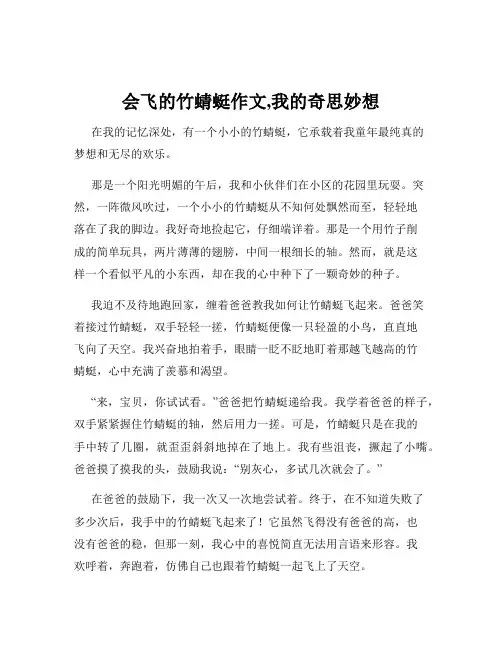 会飞的竹蜻蜓作文,我的奇思妙想