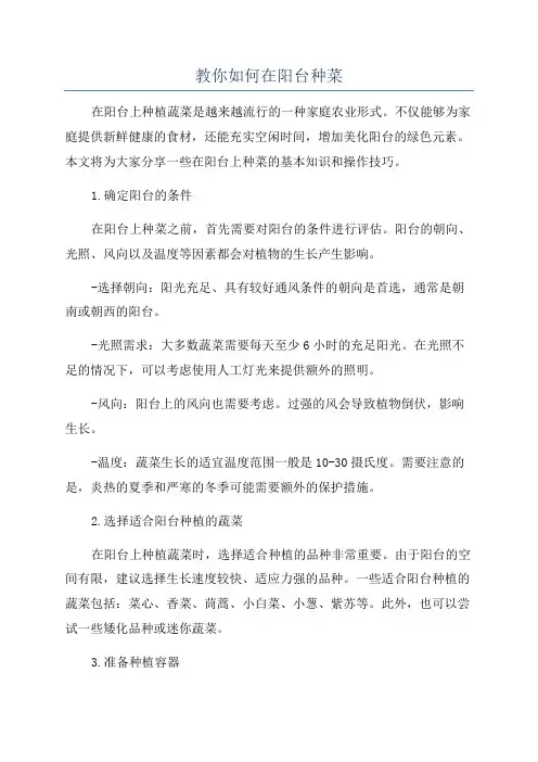 教你如何在阳台种菜