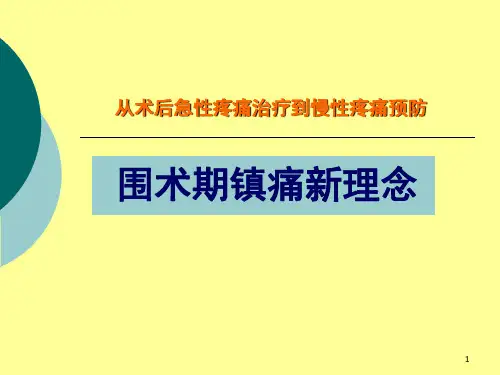 围术期镇痛新进展ppt课件