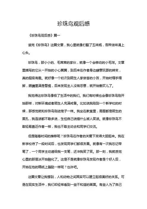 珍珠鸟观后感
