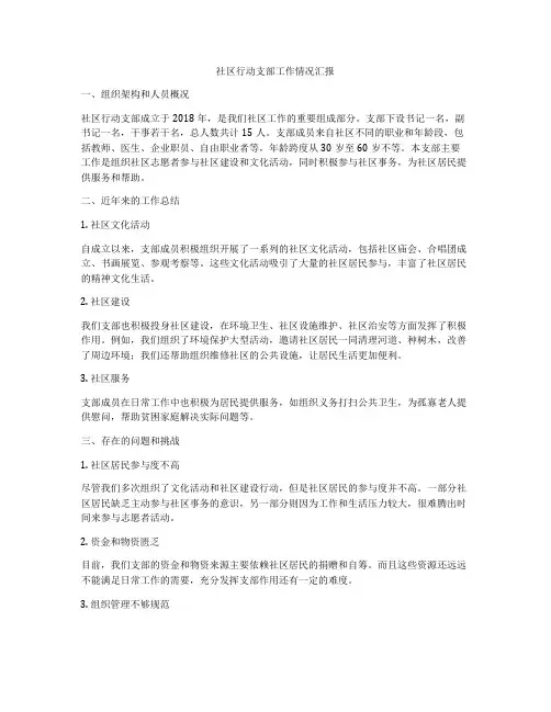 社区行动支部工作情况汇报