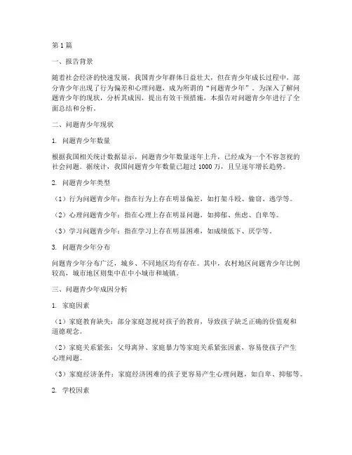 问题青少年总结报告范文(3篇)